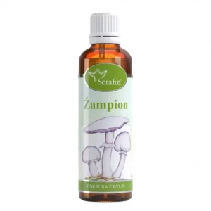 Žampion – tinktura z bylin
