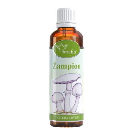 Žampion – tinktura z bylin