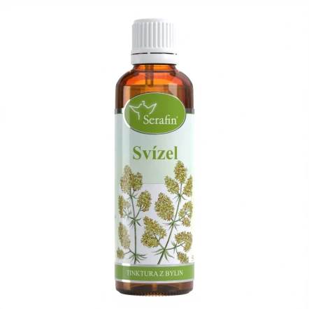 Svízel – tinktura z bylin